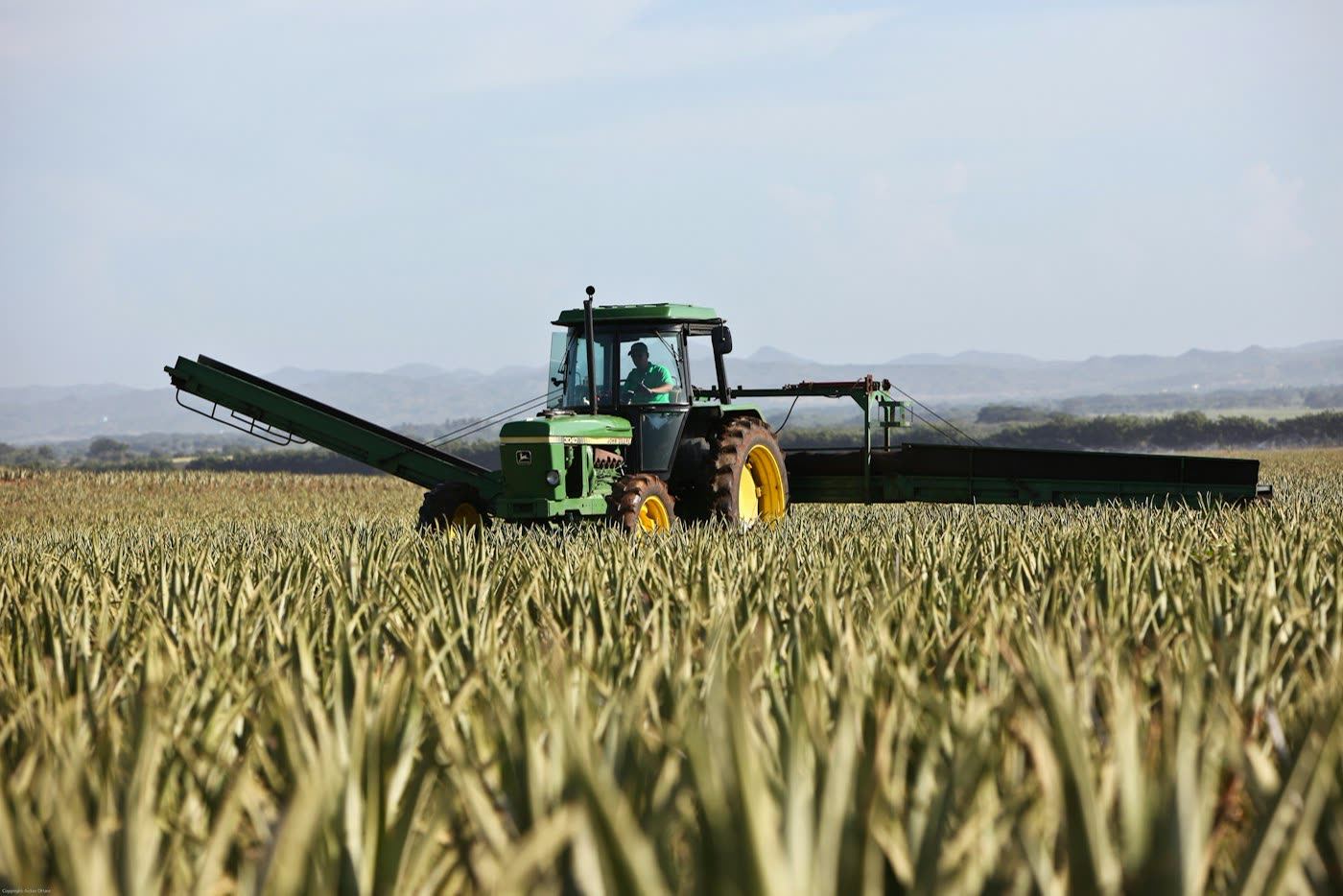 Tractor working an agricultural field
